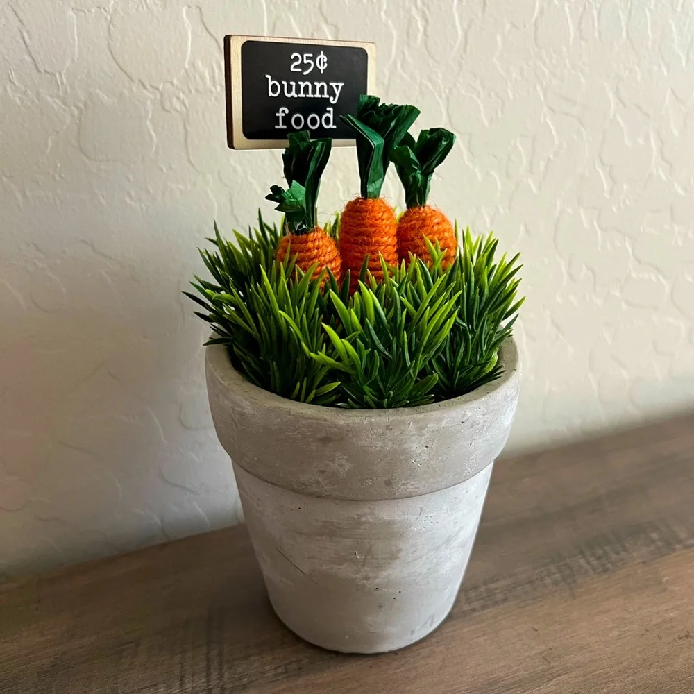 Target Bullseyes Playground Cement Potted Carrots 25c Bunny Food Easter Decor